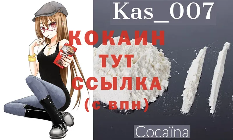 COCAIN FishScale  продажа наркотиков  Новоалександровск 