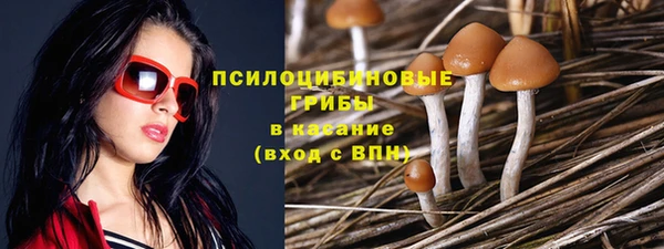 бошки Богданович